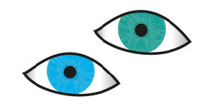 Eye Graphic